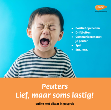 AfbeeldingIcare.png